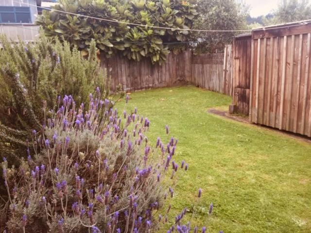 Mollies Place - Waihi Beach Holiday Unit Exterior foto